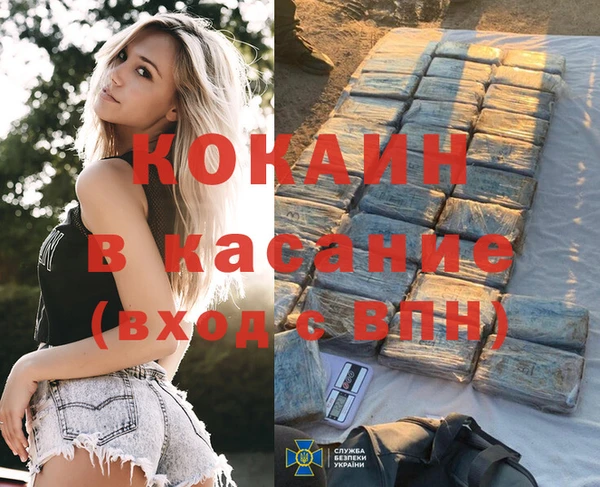 дживик Богородицк