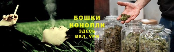 дживик Богородицк