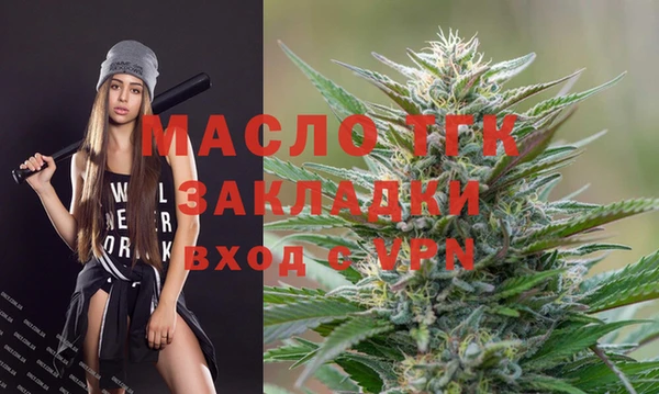 дживик Богородицк