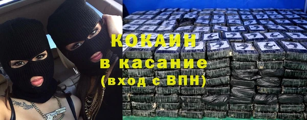 дживик Богородицк